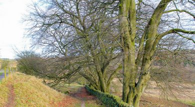 BS-Walk-Matlock-Aug19-1