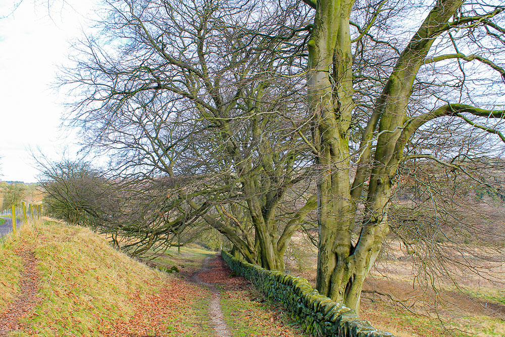 Walk Derbyshire – Around Matlock Moor