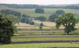 BS-Walk-Chelmorton-Pic-1–Sept-19