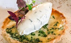 white-horse-starter-s-Sep19