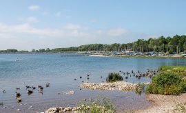 BS-Walk-Carsington-Nov19-Main