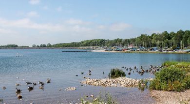 BS-Walk-Carsington-Nov19-Main