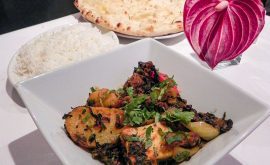 DO-Shapla-Nov19-Main