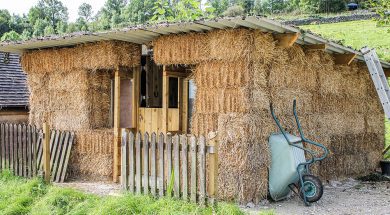 BS-One-man-&-his-coe-Jan20-Main