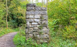 BS-Walk-Lathkill-Dale-Jan20-Main