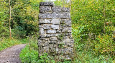 BS-Walk-Lathkill-Dale-Jan20-Main