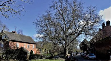 MC-Markeaton-Apr21-Main