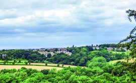 BS Walk Golden Valley 2 Sep21