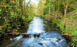 BS Walk Hartington 2 Feb22