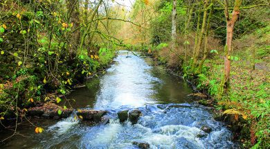 BS Walk Hartington 2 Feb22