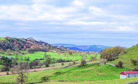 BS Walk Hartington 3 Jan22