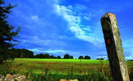Field, Parwich May22