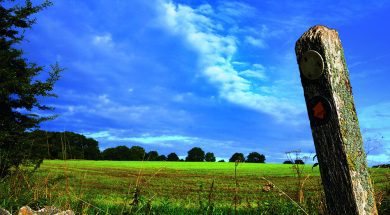 Field, Parwich May22
