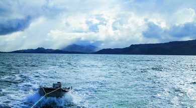 BS Curies the Small Isles 1 Mar22