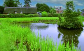 BS Walk Osmaston Pond Sep13
