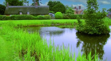 BS Walk Osmaston Pond Sep13