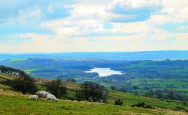 BS Walk Roaches 2 Jul22