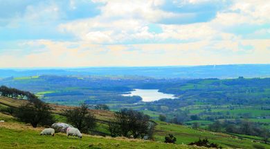 BS Walk Roaches 2 Jul22