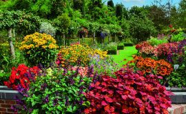 DO Meynell Langley 1 Sep22