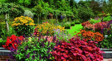 DO Meynell Langley 1 Sep22