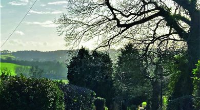 MC HORSLEY W HO 30 1 2022 GOLDEN VALLEY VIEW S