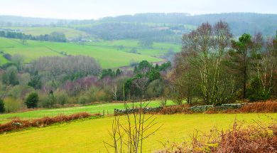 BS Walk Above Matlock 5 Apr23