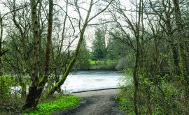 BS Walk Shipley Park 1 May23