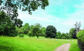 BS Ilam Walk 1 Sep23