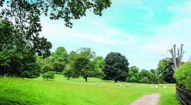 BS Ilam Walk 1 Sep23