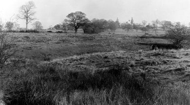 HOUGH THE MOATED SITE 1941 FR RODGERS