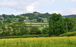 VP Walk Ashover 6 Jul24