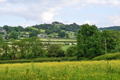 VP Walk Ashover 6 Jul24