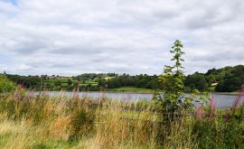 VP Walk Ogston 1 Sep24