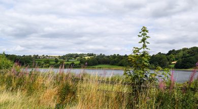 VP Walk Ogston 1 Sep24