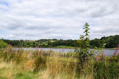 VP Walk Ogston 1 Sep24