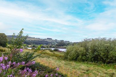 VP Walk Belper Lane End 6 Nov24