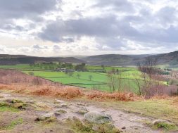 Beeley Moor & Chatsworth
