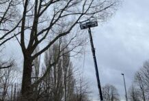 Tree specialists fined after worker falls from height